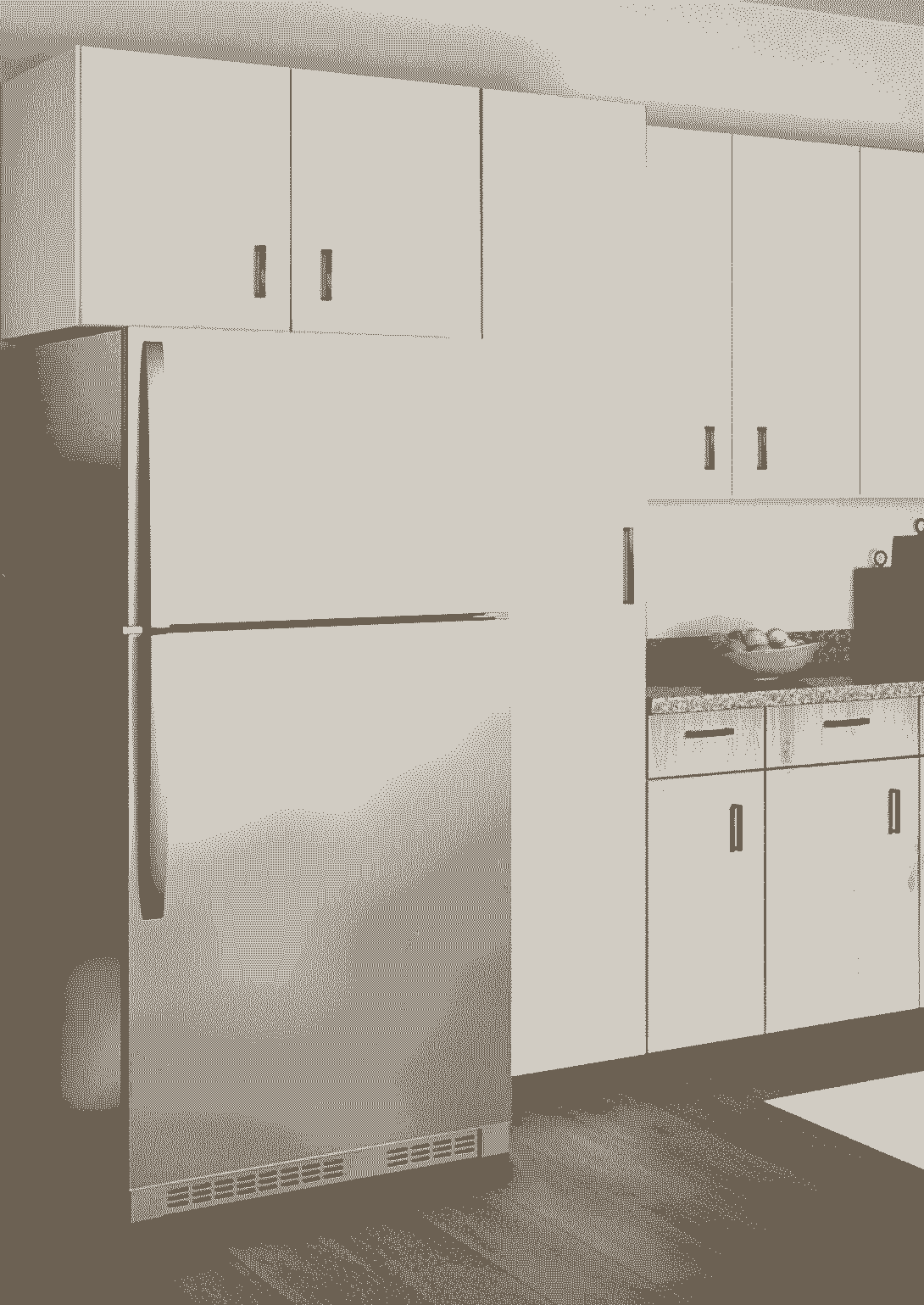Stainless Appliances